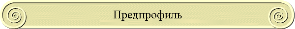 Предпрофиль